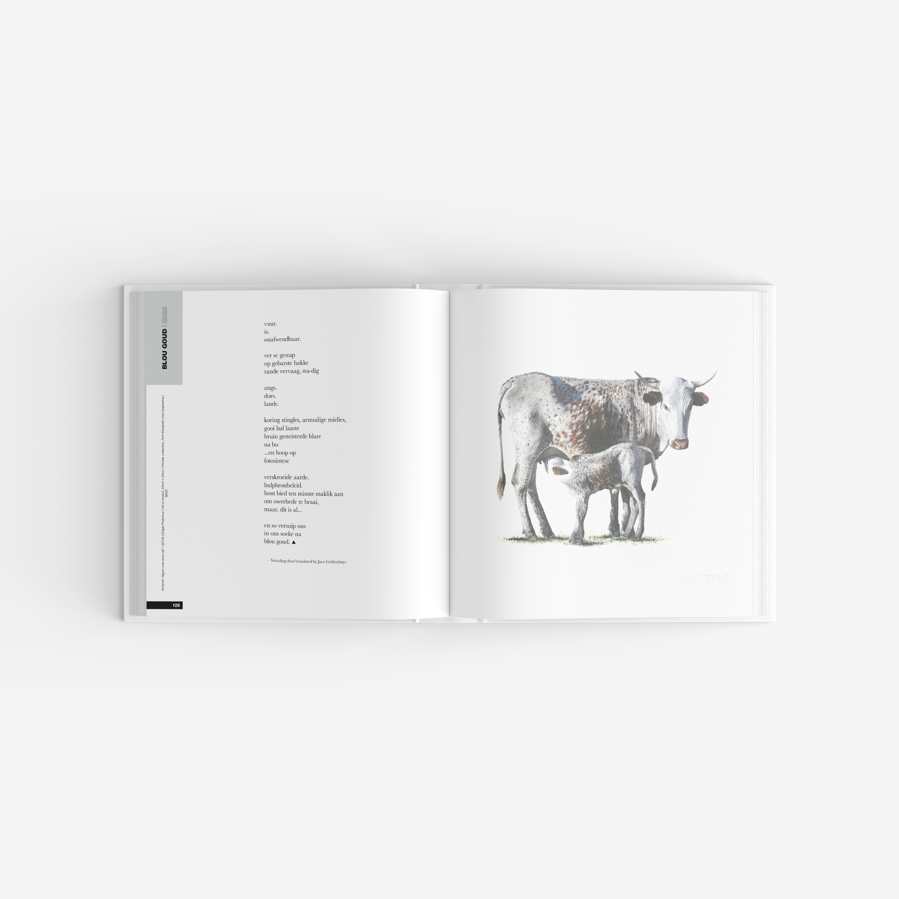 'Nguni cow and calf 1' artwork by Edgar Pretorius